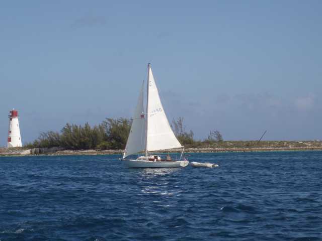 Name:  P1010113.JPG
Views: 924
Size:  18.4 KB