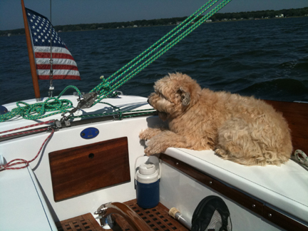 Name:  IMG_1320small.jpg
Views: 4412
Size:  144.1 KB