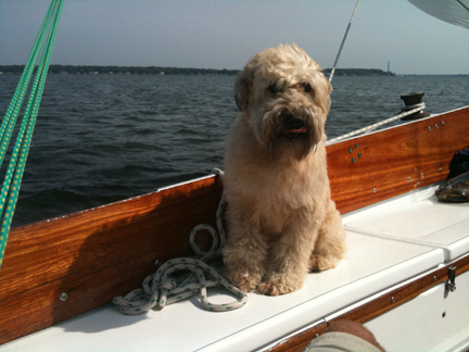 Name:  IMG_1316small.jpg
Views: 4434
Size:  133.1 KB