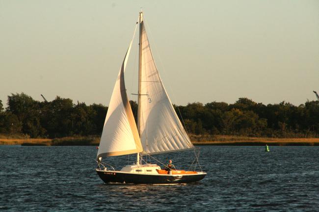 Name:  AliCat 2013.jpg
Views: 567
Size:  36.0 KB